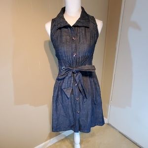 Picky Girl Blue Denim Dress